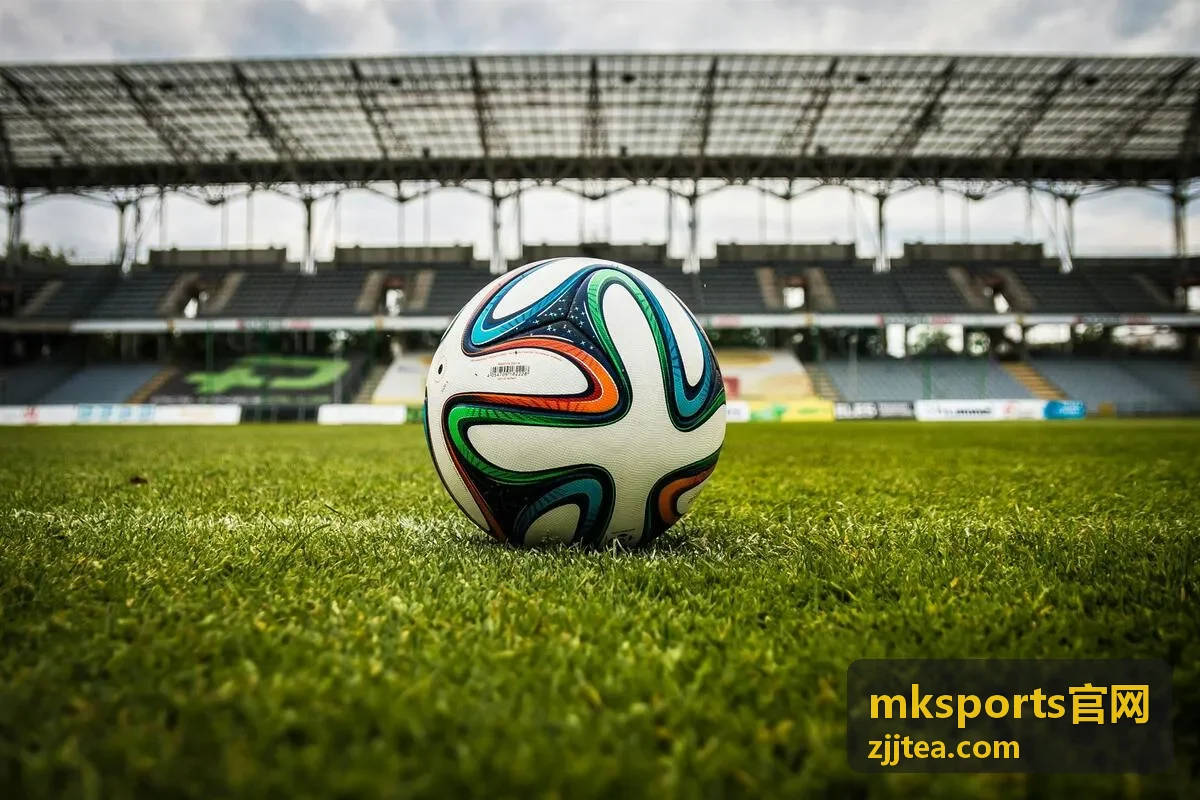 mksports官网服务支持与帮助配图